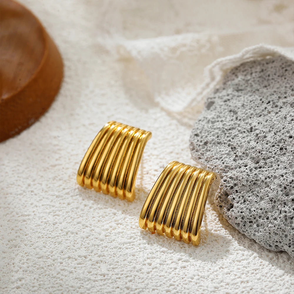 Stainless Steel Earring Vintage